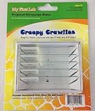 1 X Creepy Crawlies 5pc Slide Set