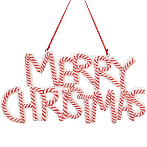 RAZ Imports Raz 3815531 Schild zum Aufhängen, 20,32 cm, Pfefferminzfarben Cover