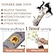 Sunshine smile Intelligenzspielzeug für Hunde,Schnüffelspielzeug Hund,Hundespielzeug Schnupftabak,Quietschend Welpenspielzeug,Interaktives Hundespielzeug,Hund Interaktives
