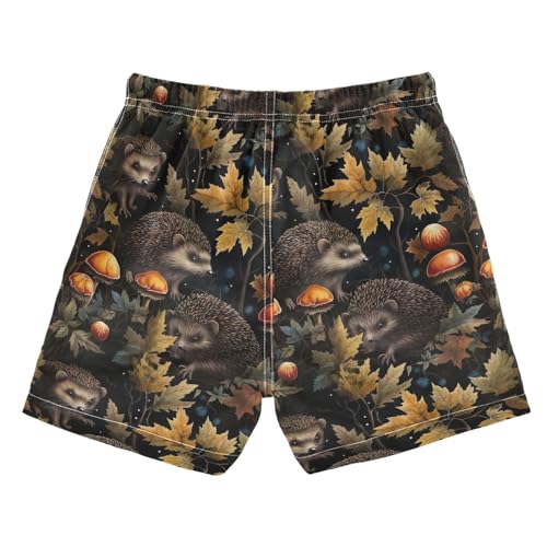 Boys Swim Trunks Cute Hedgehog Toddler Swim Shorts Little Boys Bathing Suit Swimsuit Toddler Boy Swimwear 2T 202b33472