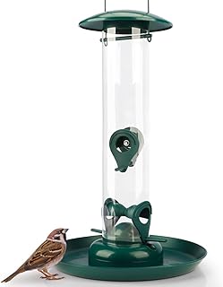 WILDLIFE FRIEND I Körner Feeder with XL Feeding Plate - Feeding Bowl for Hanging with Landing Sites, Feeding Station for Year-Round Wild Birds Feeding (Green/M)