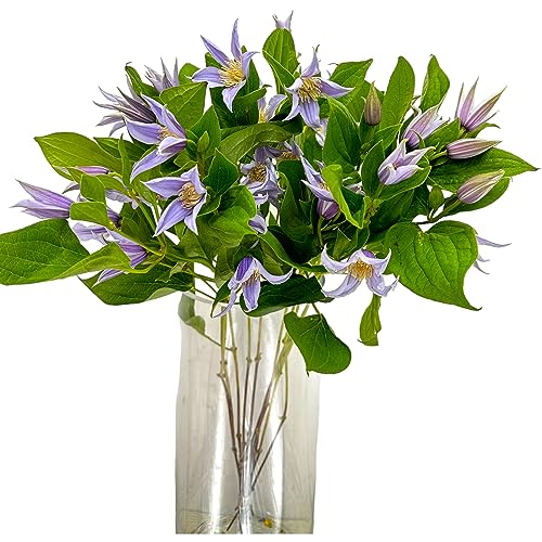 Next day delivery 10 Fresh Lron Wire Lotus Mixed Bouquets with Budding Flowers Perfect Home Gift for Birthdays Anniversaries Friendship and Love