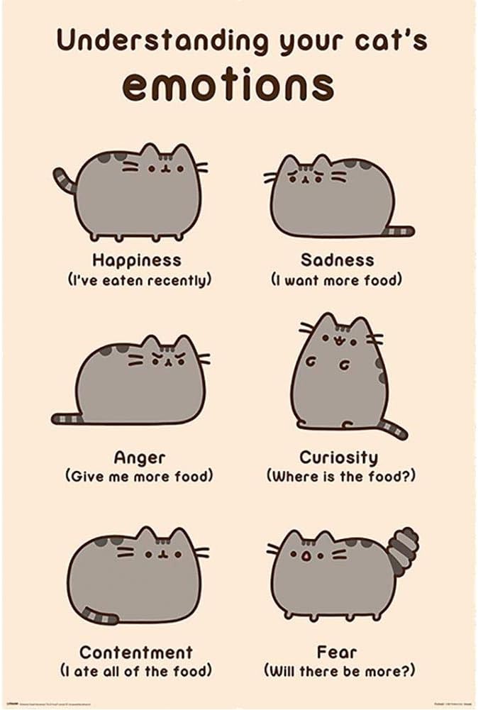 Pusheen (Cats Emotions) poster