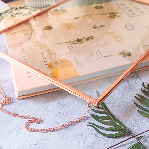 Ncyp 14.2X11Inches Hanging Glass Floating Frame For Artwork Certificate Photo Picture, Large Copper Ornament Plant Specimen Clip, Wall Vertical Decor Rose Gold Card Holder, Glass Frame Only #TOP3