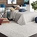 Livabliss Area Rugs - 4x6 Chester Boho Moroccan Gray Rug for Living Room Bedroom - Grey White Geometric Stain Resistant Carpet for Nursery, Kitchen And Office (3'11