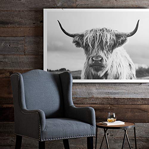 Scottish Highland Cow Art Print Poster Canvas Wall Art, Unframed, for Wall Decor
