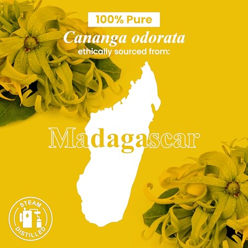 Handcraft Blends Ylang Ylang Essential Oil &ndash; 1 Fl Oz &ndash; 100% Pure and Natural &ndash; Premium Grade Essential Oil for Diffuser and Aromatherapy, Skin, Massage, Candle and Soap Making Fragrance