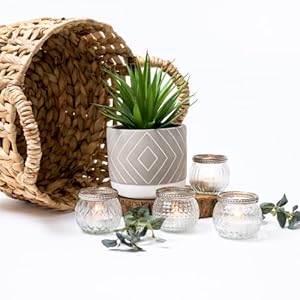 Kurrajong Farmhouse Artificial Plant | 8" Fake Plant for Desk Decor | Artificial Succulent in Pot | Fake Succulent | Faux Plant Indoor | Succulent Plant Artificial | Faux Succulent for Shelf Decor Kurrajong Farmhouse Artificial Plant 8 Fake Plant for Desk Decor Artificial Succulent in Pot Fake Succulent Faux Plant Indoor Succulent Plant Artificial Faux Succulent for Shelf Decor