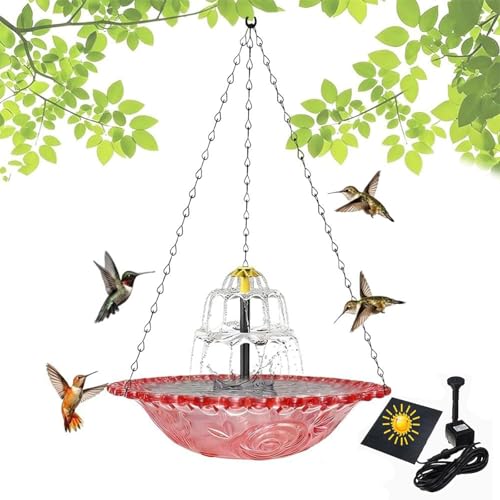 Atrae colibríes al jardín usando el baño de aves colgante solar 2