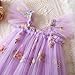 NNJXD Baby Girl Flower Embroidery Tulle Dress Butterfly Toddler Birthday Party Dresses 2109 Purple Size(120) 4-5 Years
