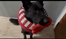 Review Image by Steph Steph