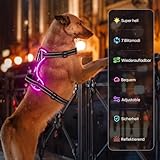 Leuchtendes Hundegeschirr, Colaseeme Light Hundeweste mit reflektierenden Streifen und verstellbarem Geschirr, LED-Hundelicht wiederaufladbar für kleine, mittelgroße und große Hunde (Grün,XS)
