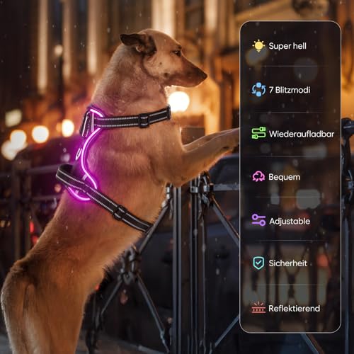 Leuchtendes Hundegeschirr, Colaseeme Light Hundeweste mit reflektierenden Streifen und verstellbarem Geschirr, LED-Hundelicht wiederaufladbar für kleine, mittelgroße und große Hunde (Grün,XS)