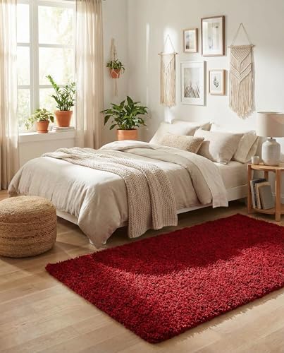 Rugs.com Cherry Red Shag Rug 3'1