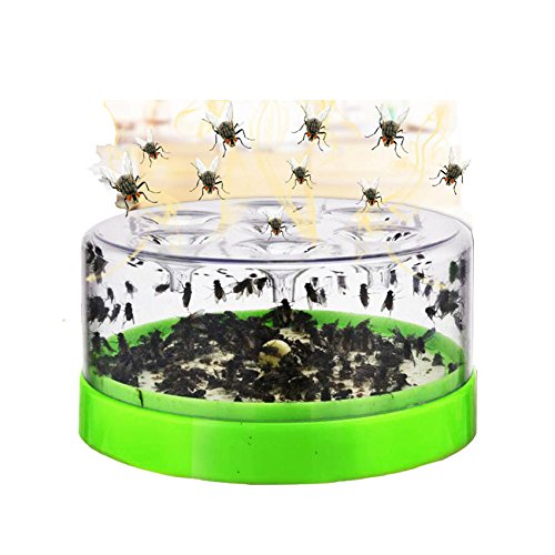 GRH Atrapamoscas eficaz Asesino de atrapamoscas para el Restaurante del Hotel Inicio Artefacto automático Atrapado Mosca Asesino Atrapamoscas