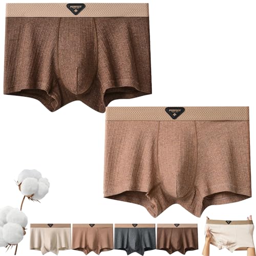 Mens Boxers Underwear, Men's Underwear Boxer, Men's Fashion Breathable Cotton Boxer Shorts Brief (2PCS-D,XX-Large)