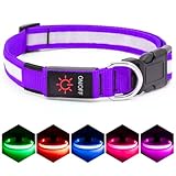 VIZPET LED Dog Collar, Light Up Dog Collar Adjustable USB Rechargeable Super Bright Safety Light Glowing Collars for Dogs (Purple, X-Large[22.83-27.55 inch/58-70cm])
