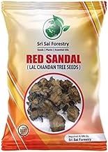 Red Sandalwood Seeds (Lal Chandan), 100 Count, for Outdoor Planting
