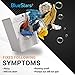 BlueStars 211124 & 211125 Washer Belt Assembly - Compatible with Whirlpool Maytag Jenn-Air Washers - Replaces 12112425 12112425VP 210024 AP4011179 PS2005284 22002570