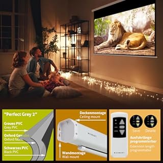 ESMART Professionale MIMOTO Schermo del motore per luce diurna GRIGIO 265x150 cm (120") 16:9 | Telecomando programmabile | Dello schermo di proiezione del proiettore elettrico per home cinema LCD LED