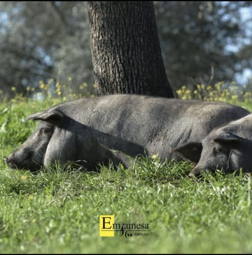 8,5 tot 9 kg, Italiaanse ham, Emjamesa, 100% natuurlijk, runderen en fijne processen. - Image 4