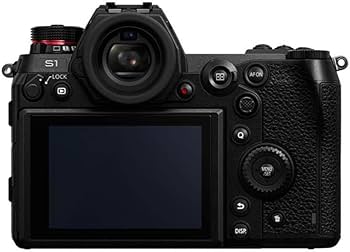 Amazon.com : Panasonic LUMIX S1 24.2MP Digital Mirrorless Camera