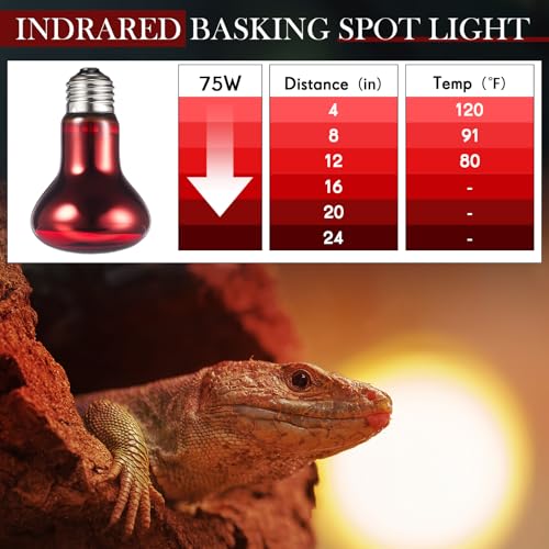 Image of VIHOSE 12 Pack 100 W Reptile Heat Bulbs Red Heat Lamp Bulb Infrared Lamp Red Basking Light Bulbs for Reptiles, Bearded Dragon, Lizard, Tortoise, Chickens, Leopard Gecko, Amphibian, Pets