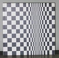 Bridget Riley Paintings From the 1960s and 70s 1870814177 Book Cover