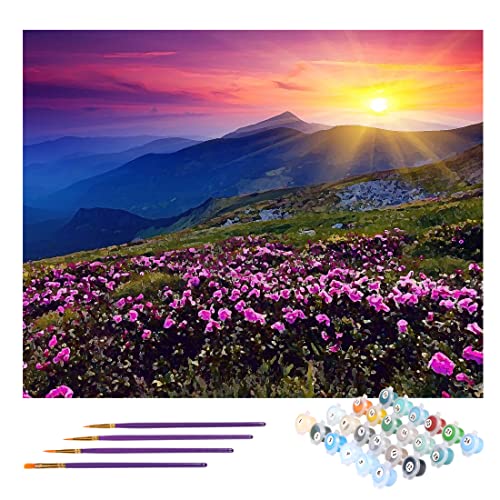 TONZOM Malen nach Zahlen für Erwachsene Kinder Blumen auf dem Hügel - DIY Malen nach Zahlen Kits auf Leinwand 40x50 cm Ohne Rahmen Cover