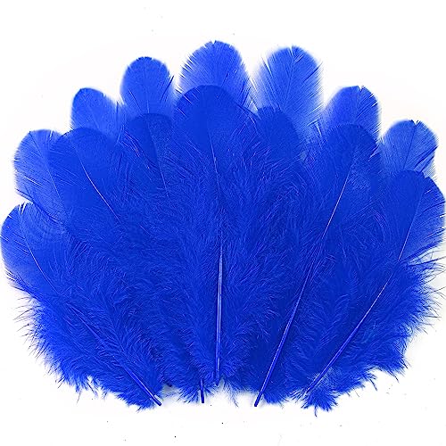 Soarer 300 plumas azules para manualidades, plumas de 3 a 5 pulgadas a granel para bodas, fiestas en casa, suministros de atrapasueños y manualidades de bricolaje (azul real)