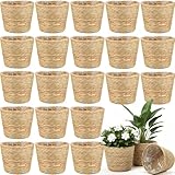 AceOrbit 24 Pcs Seagrass Plant Basket with Plastic Liners Woven Stylish Planter Baskets Bulk Indoor Outdoor Plants Woven Wicker Baskets for Flower Pots Cover and Room Decor Small (Small,Rustic)
