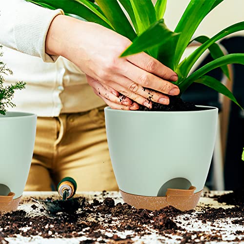 Plastic Plant Pots 3 Pack, Self Watering Plant Pots With Saucers,Drainage Holes And Reservoir, Decorative Modern Bonsai Planter Indoor Flower Pots Garden Pots For All House Plants #TOP5