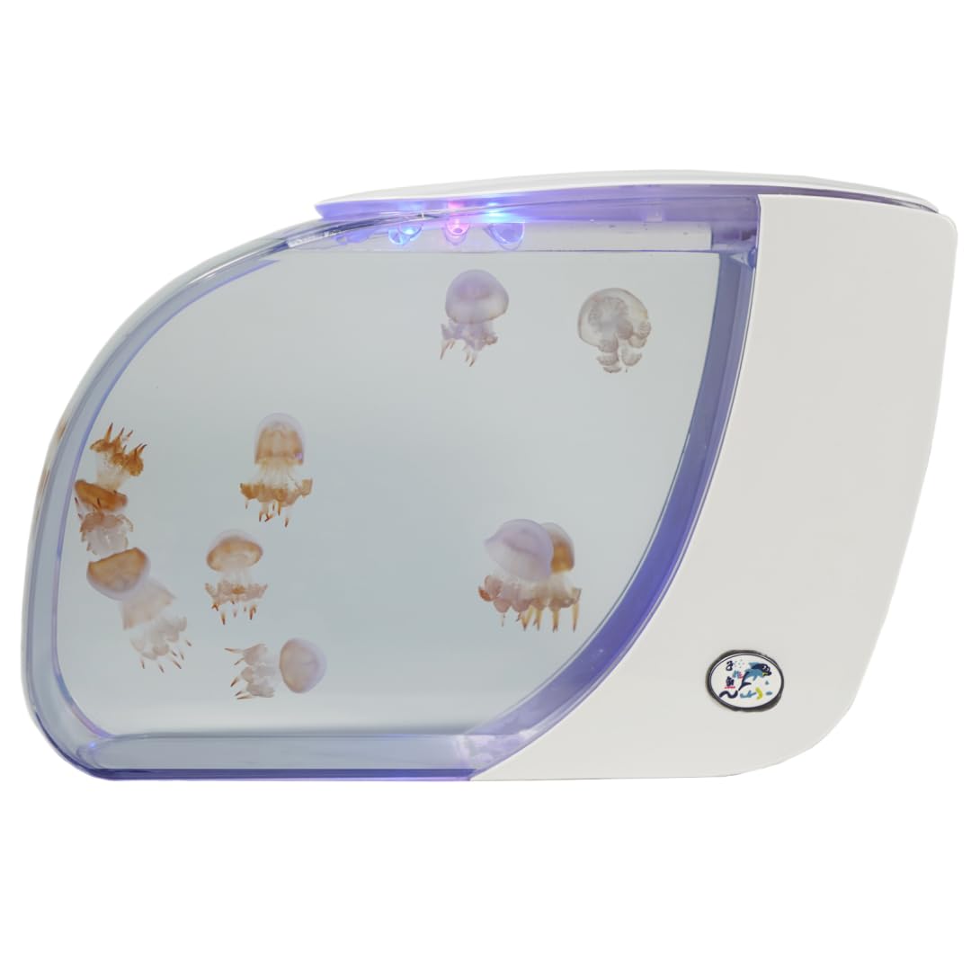 クラゲ　アクアリウム Amazon | 【Amecke】クラゲ水槽 卓上型 生態セット ～270°超清視界