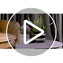 Nihow Ceramic Modern Plant Pot with Drainage for Indoor Plants,5+7 inch