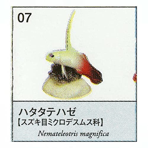 Amazon.co.jp: 原色図鑑シリーズ10 原色海水魚図鑑1