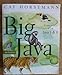 Big Java