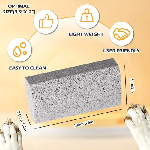 2 Stück Bimsstein, Tierhaarentferner für Haustiere, Fußpflege Werkzeug und Teppich Hundefell Entfernung