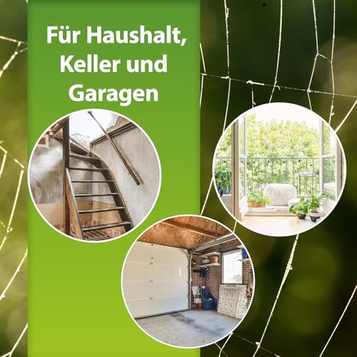 ARDAP Repell Spinnen Zerstäuber 500ml - Spinnenabwehr - Anti Spinnenspray - Abwehrmittel - Spray gegen - Mittel gegen Spinnen - Wirkt schnell und effektiv (PT19)