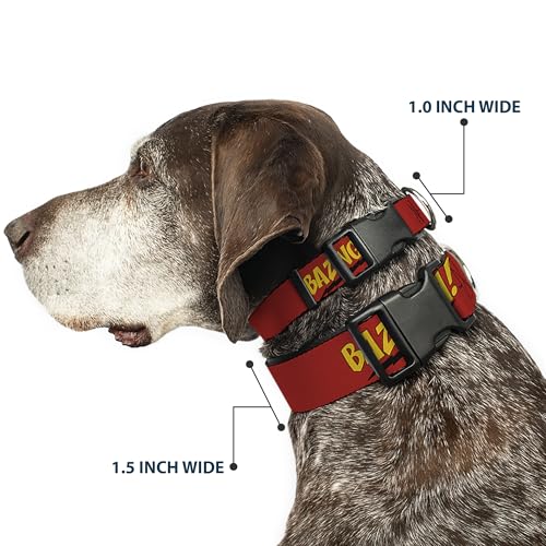 Collar Bazinga para evitar tirones con broche plástico fácil de abrir 3