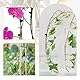 BOHUIZ 50 Stück Orchideen Klammern Pflanzenclips, Kunststoff Pflanzenclips Klein 1.5 cm Blumenklammern Pflanzenklammern für Unterstützen und Halten Pflanze
