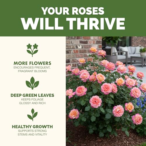 Fertilizante líquido para rosas 8 oz miniatura 2