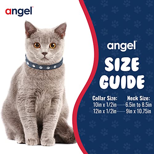 Athens Cat Collar, Leather Kitten Collar W/Rhinestones, Sturdy Breakaway Cat Collar With Bell & Elastic Stretch, Cat Accessories, Midnight Black, 10 X ½ Inches - Angel Pet Supplies #TOP4