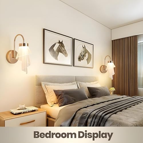 Image of FILLISKA Luxurious Acrylic Crystal Wall Lamp with Adjustable Colour Changing Function, Elegant Finish (Acrylic FrenchGold-B31)(1 Year Warranty)