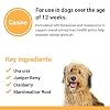 Vet Classics Urinary Tract Dog Supplement Urinary Tract Support for Dogs, Helps Support Normal Urinary Tract Function, Pet Incontinence Cranberry Dog Supplements Chewable Tablets 120 Ct.
