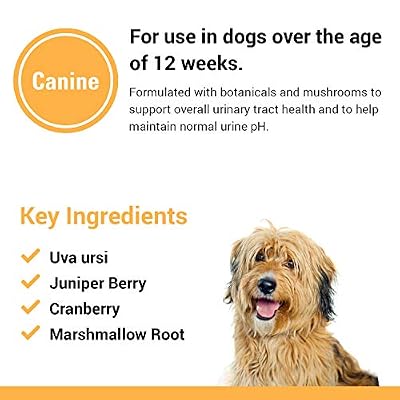 Vet Classics Urinary Tract Dog Supplement Urinary Tract Support for Dogs, Helps Support Normal Urinary Tract Function, Pet Incontinence Cranberry Dog Supplements Chewable Tablets 120 Ct.