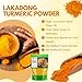 Bliss of Earth 250GM High Curcumin Certified Organic Lakadong Turmeric Powder,