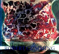 Robert Cumming: Cone of vision 0934418403 Book Cover