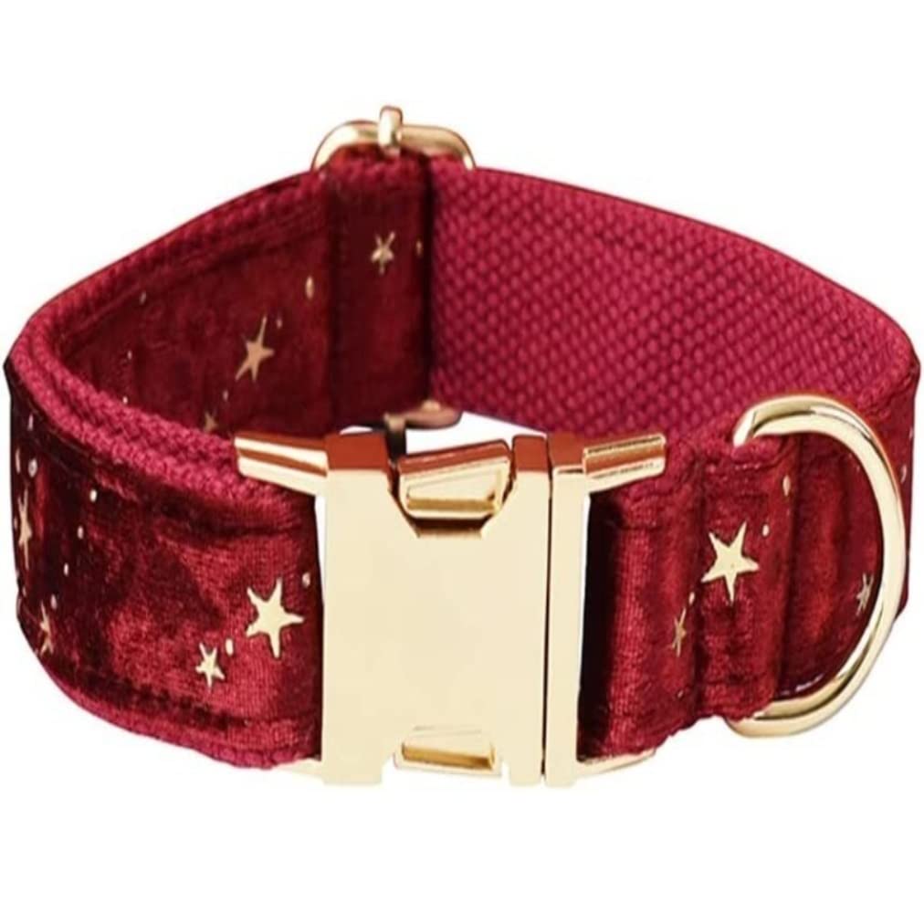 Morbido Guinzaglio Per Cani Collare Per Cani Personalizzato E Guinzaglio Per Animali Domestici In Velluto Rosso Natalizio Con Stelle Dorate Antiscivolo Flexi(27-41cm)