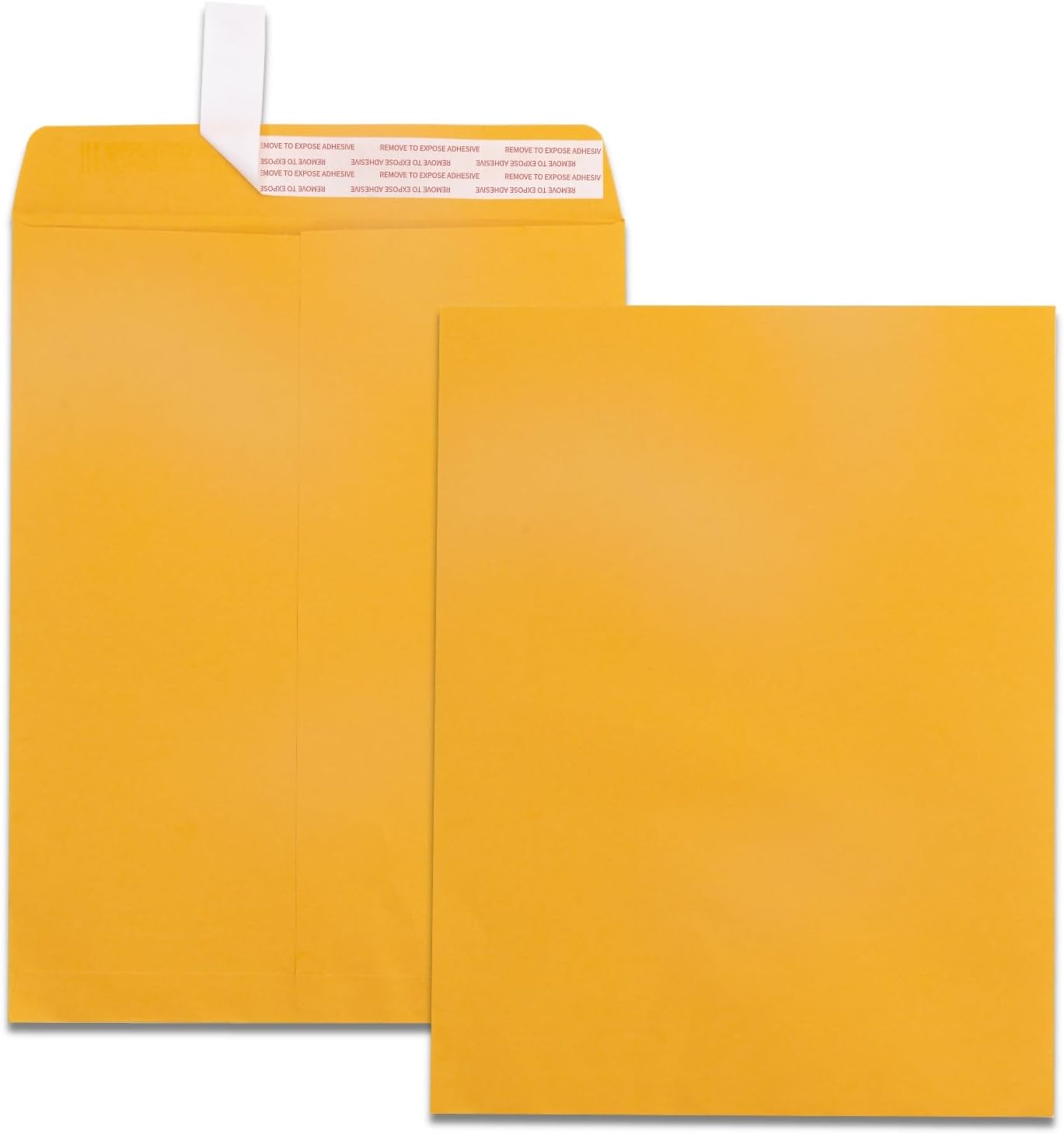 Quality Park 10 x 13 Catalog Envelopes with Self Seal