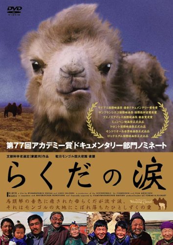らくだの涙 [DVD]